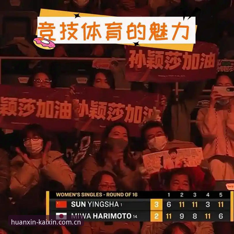 开心体育平台安卓比分APP使用教程：从换新版到深度检索的完整操作指南